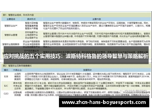 应对挑战的五个实用技巧：波斯特科格鲁的领导智慧与策略解析