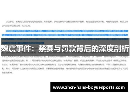 魏震事件：禁赛与罚款背后的深度剖析